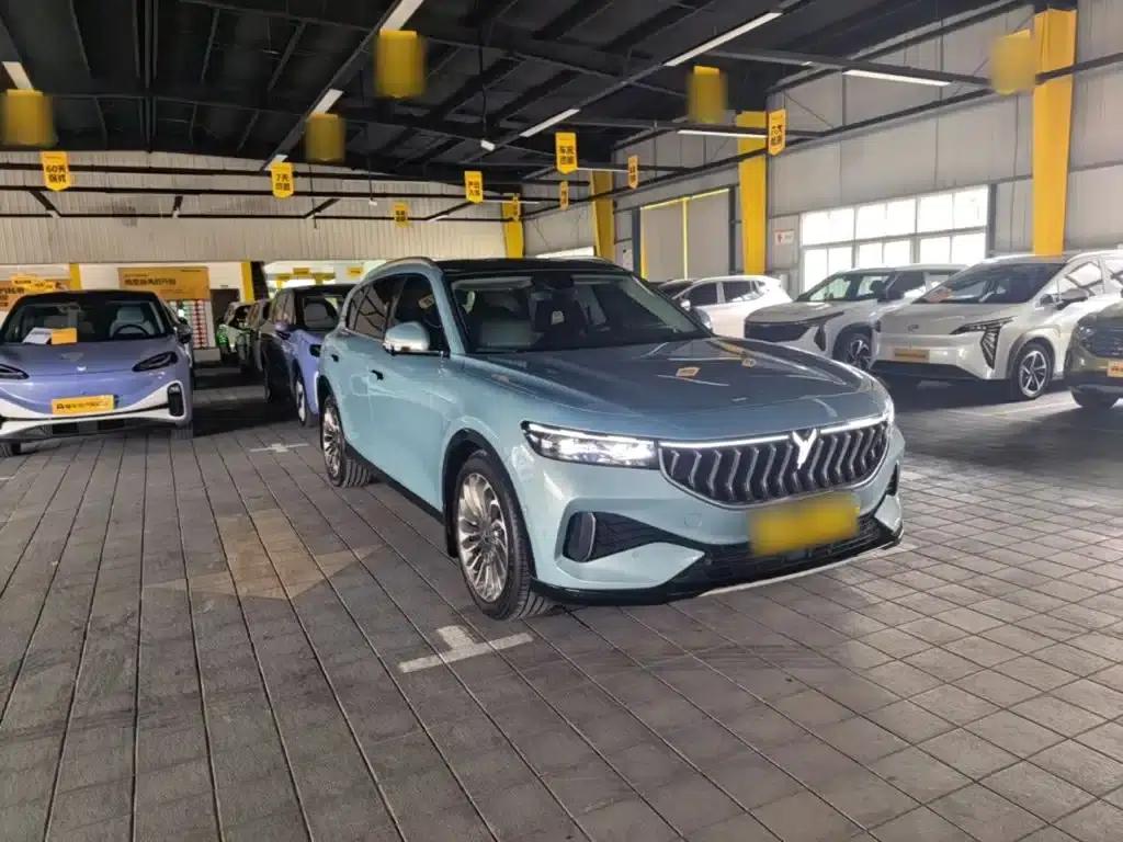 Voyah FREE 2021 AWD Standard Range Extender Exclusive Luxury Package — миниатюра 4