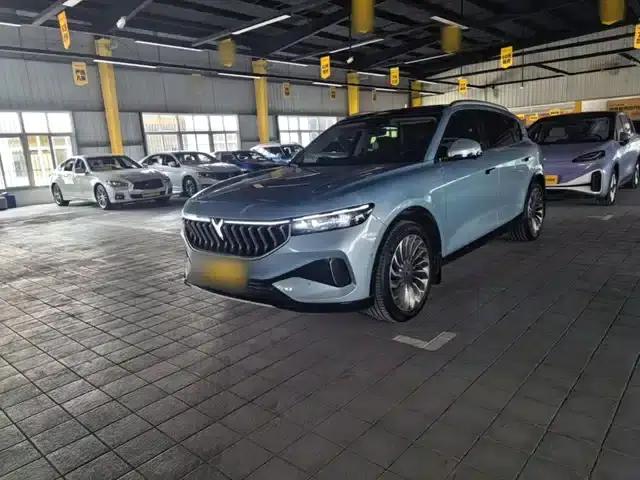 Voyah FREE 2021 AWD Standard Range Extender Exclusive Luxury Package
