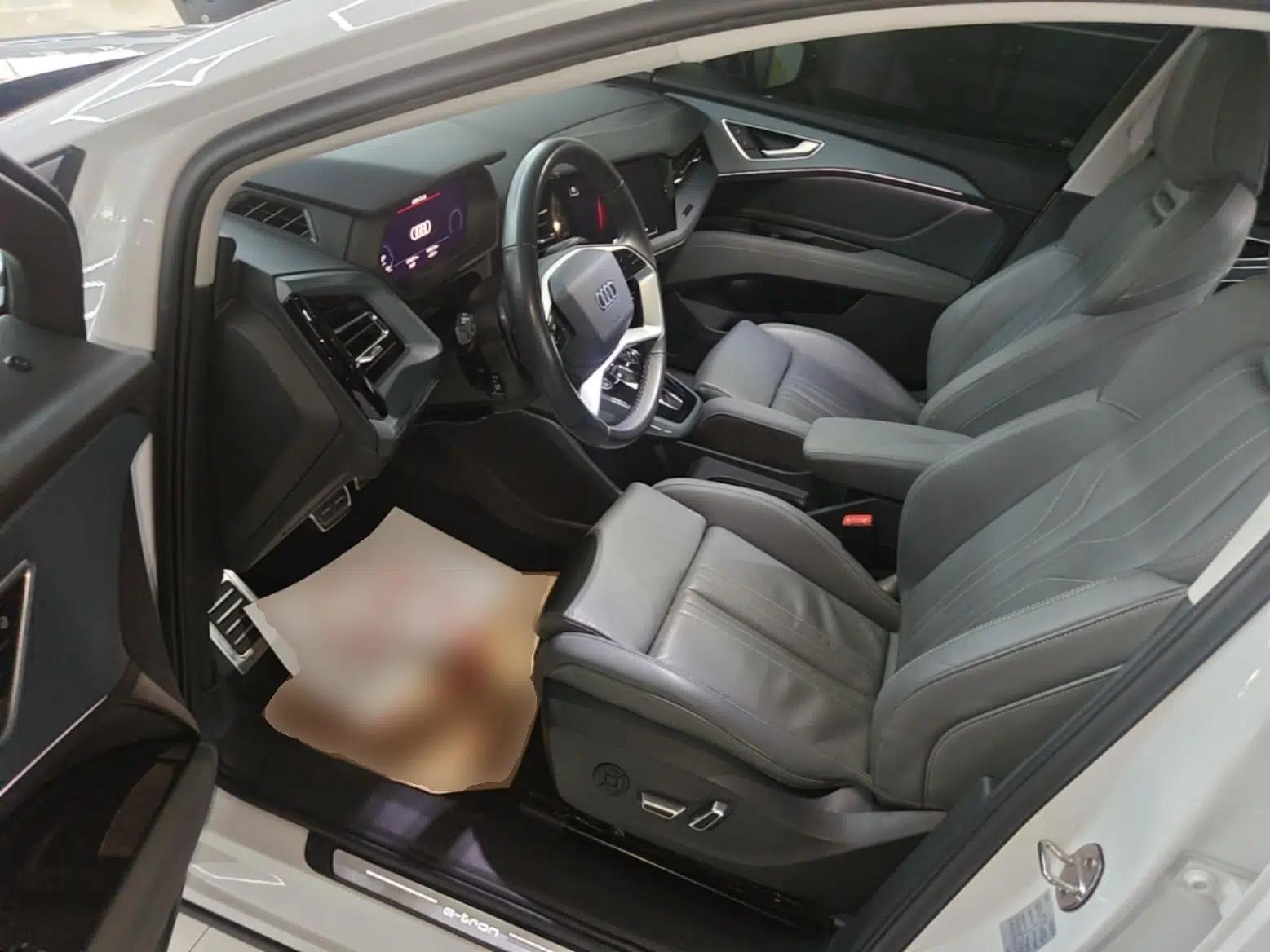 Audi Q5 e-tron 2022 40 e-tron Starlight Edition Brocade Suit Day-Chasing Version — миниатюра 23
