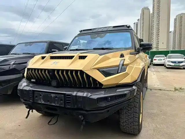 Warrior 917 2024 Model Extended Range Dragon Armor