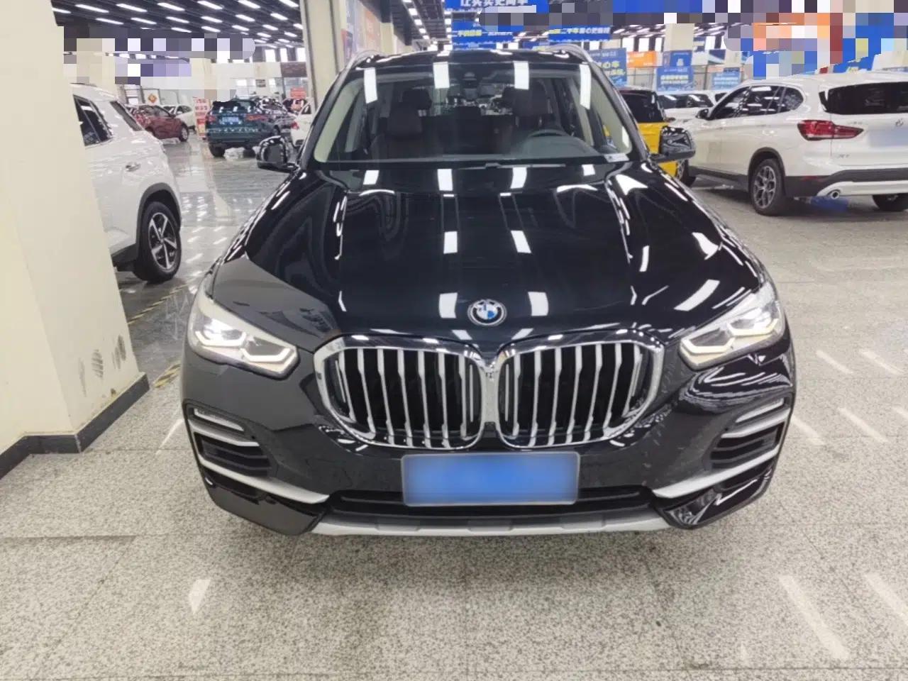 BMW X5 2021 xDrive30i X Design Package — миниатюра 2