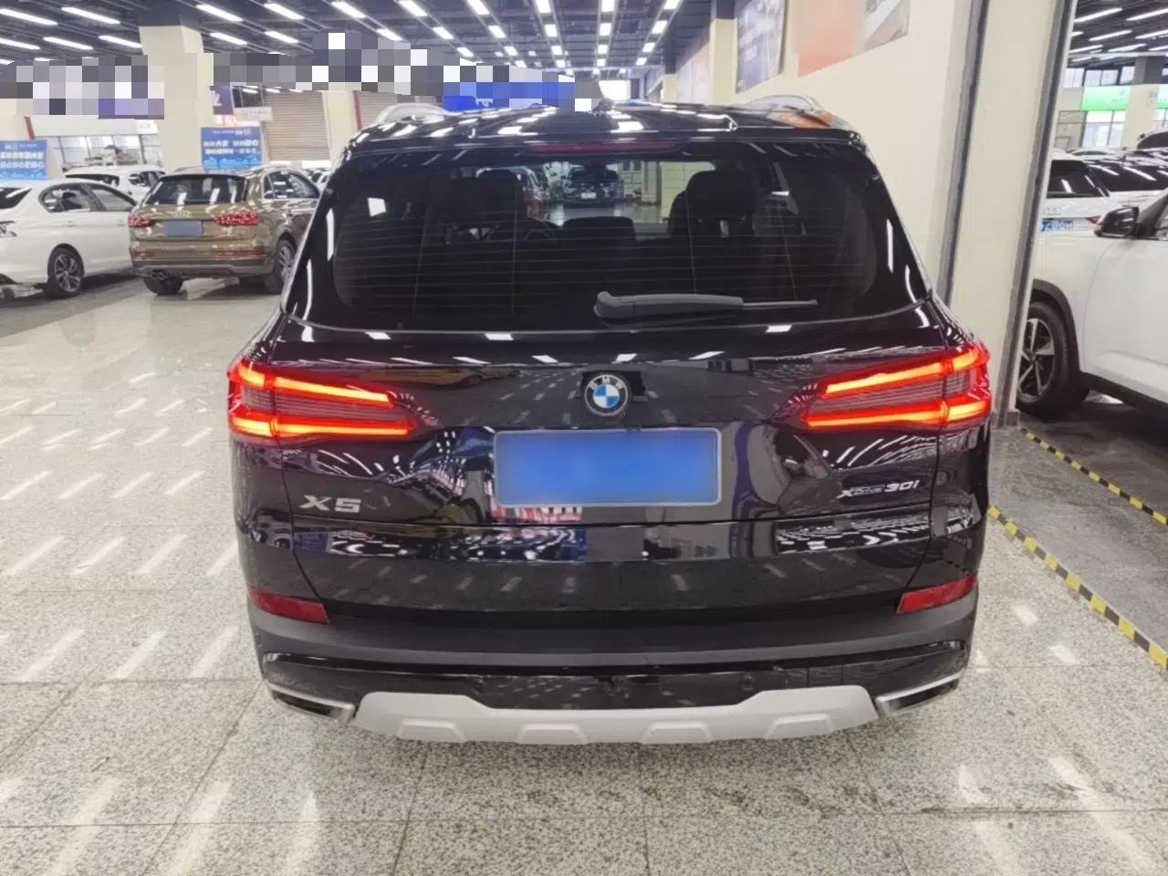 BMW X5 2021 xDrive30i X Design Package — миниатюра 5