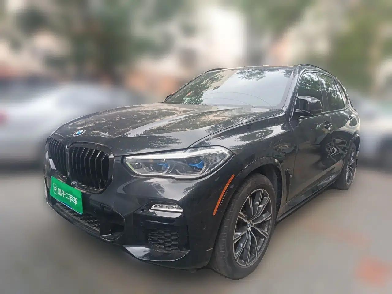 BMW X5 2019 3.0T Automatic Gasoline All-Wheel-Drive Five-Seater (Parallel Import) — миниатюра 1