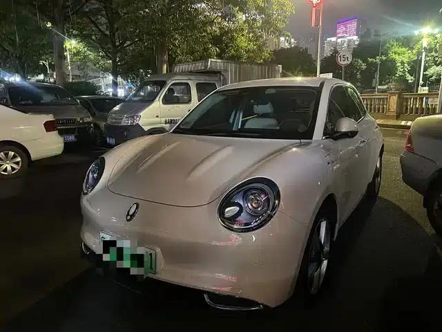 ORA Good Cat 2024 Model 401km Luxury