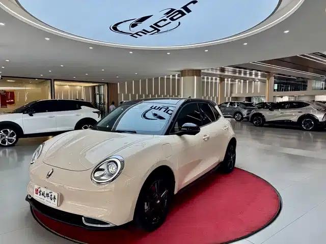 ORA Good Cat 2024 Model 401km Luxury