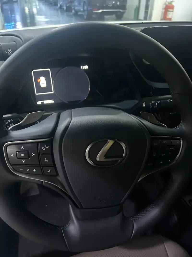 Lexus ES 2023 260 Premium Edition — миниатюра 8