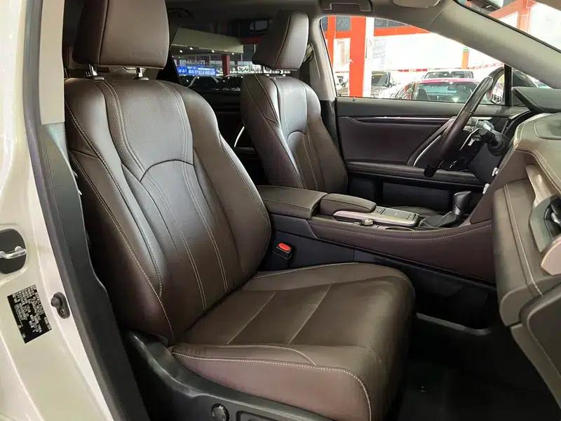 Lexus RX 2021 300 AWD Special Edition — миниатюра 15