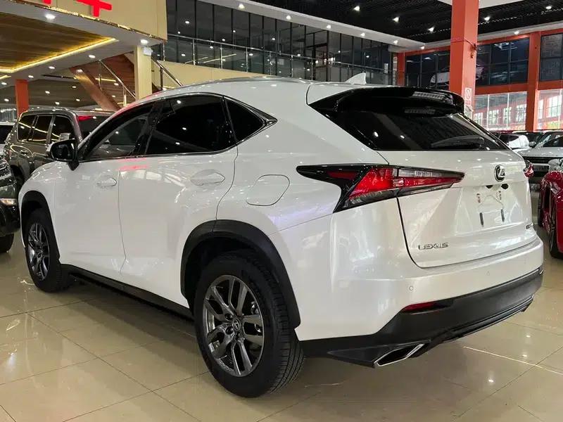 Lexus NX 2017 300 AWD Sport Edition — миниатюра 4