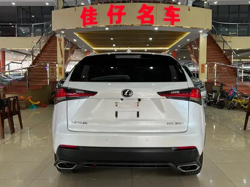 Lexus NX 2017 300 AWD Sport Edition — миниатюра 5
