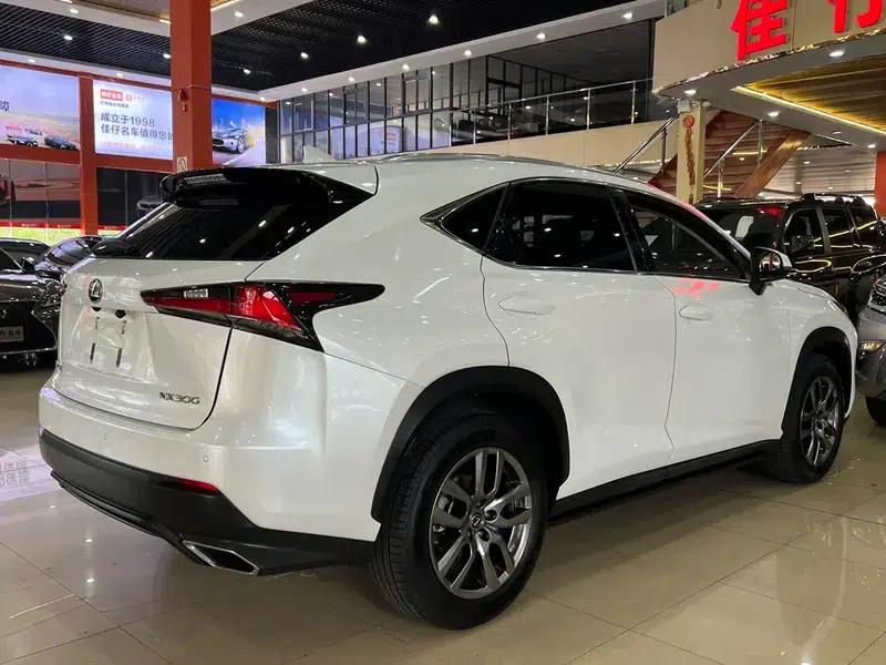 Lexus NX 2017 300 AWD Sport Edition — миниатюра 6