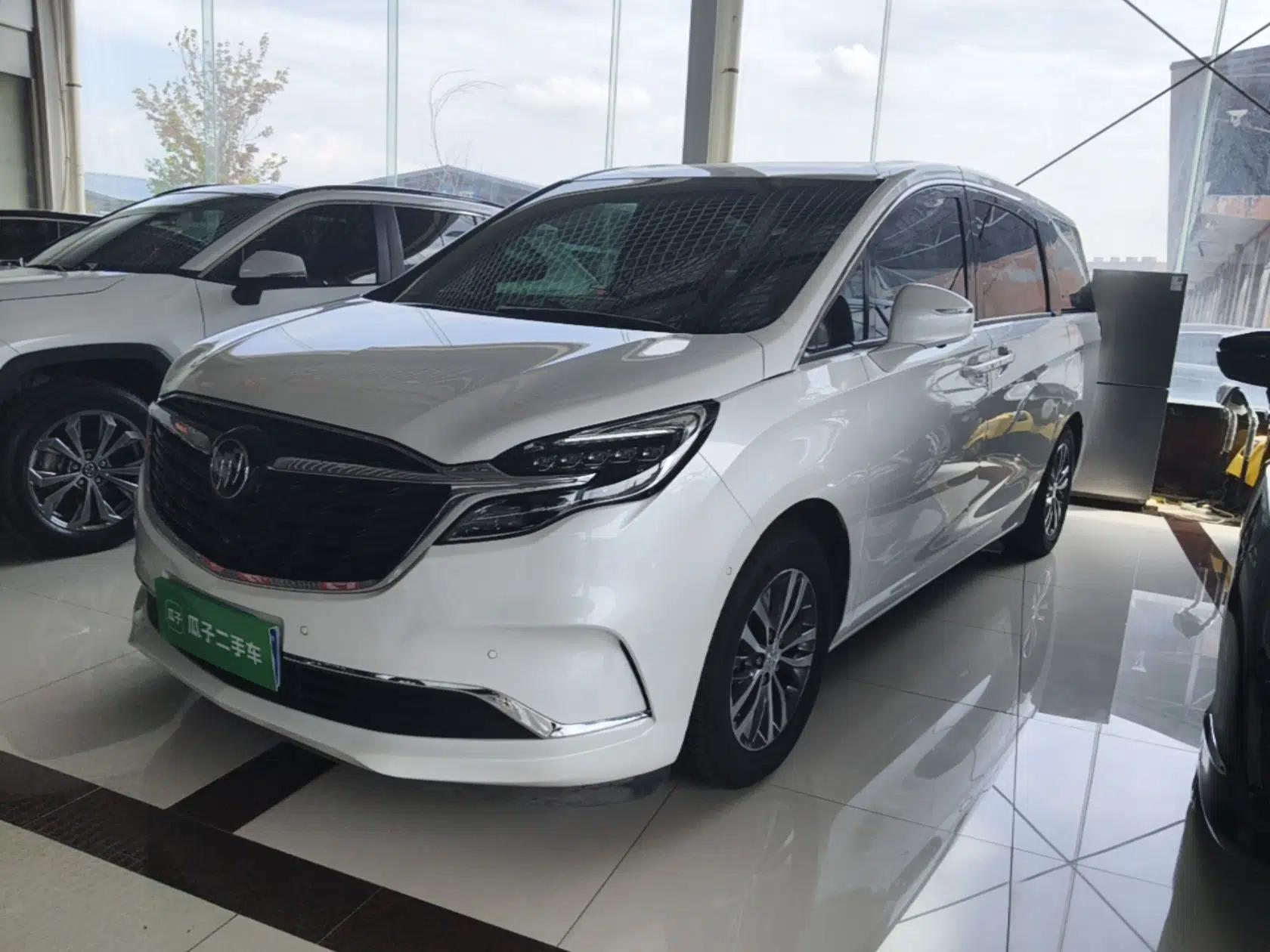 Buick GL8 2021 ES Land Cruiser 653T Luxury Edition — миниатюра 1