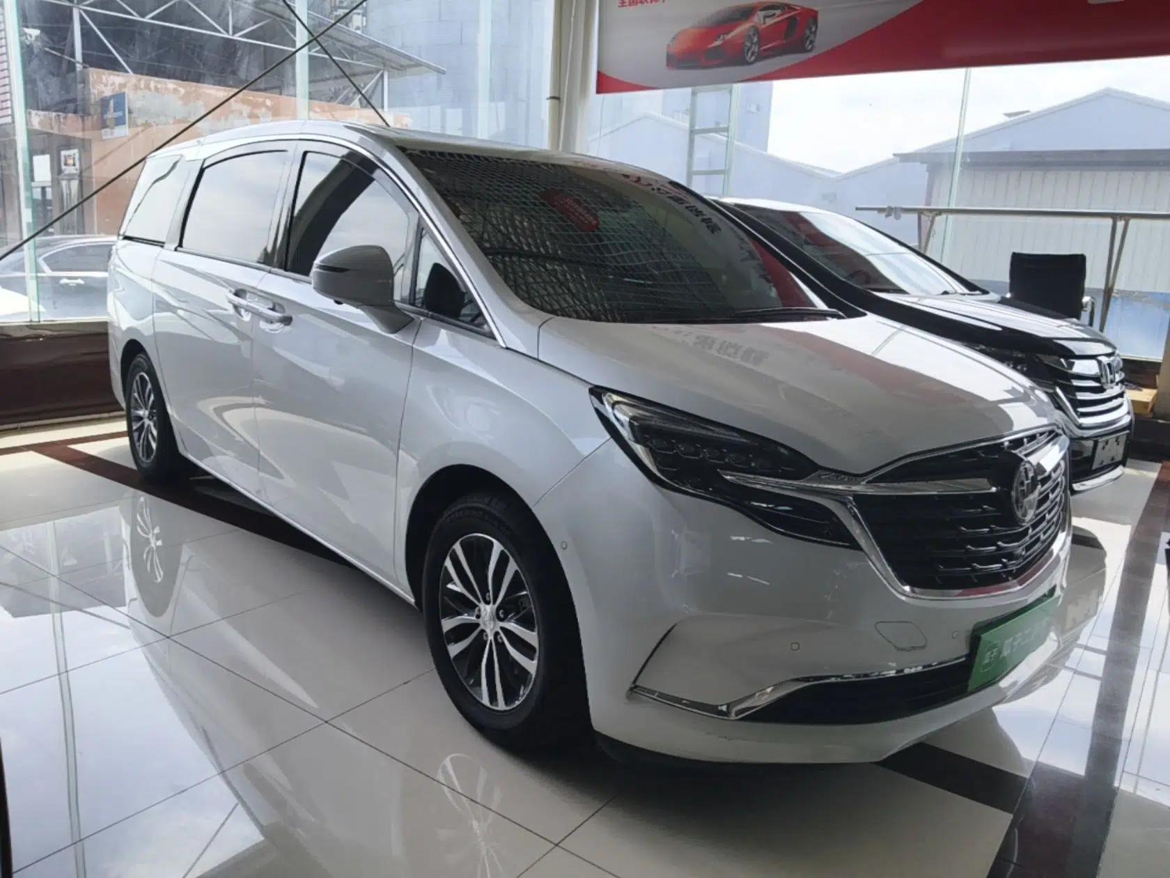 Buick GL8 2021 ES Land Cruiser 653T Luxury Edition — миниатюра 3