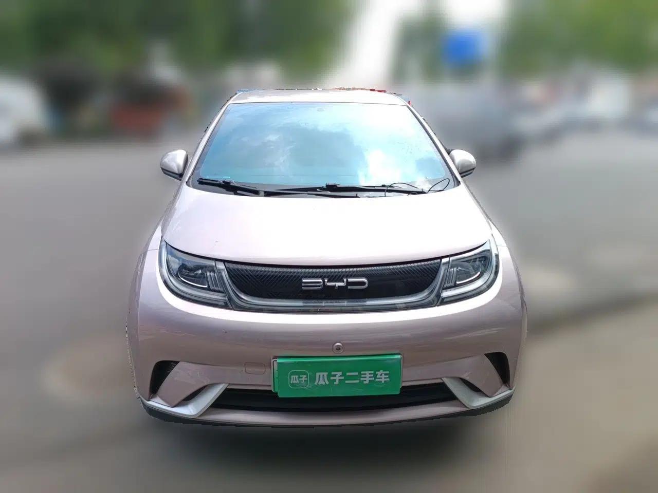 BYD Dolphin 2021 405 km Free Version — миниатюра 2