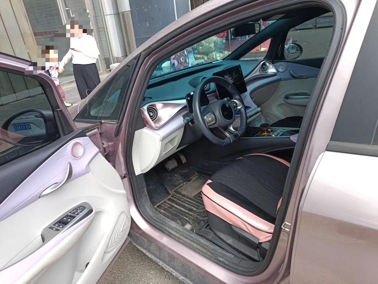 BYD Dolphin 2021 405 km Free Version — миниатюра 13