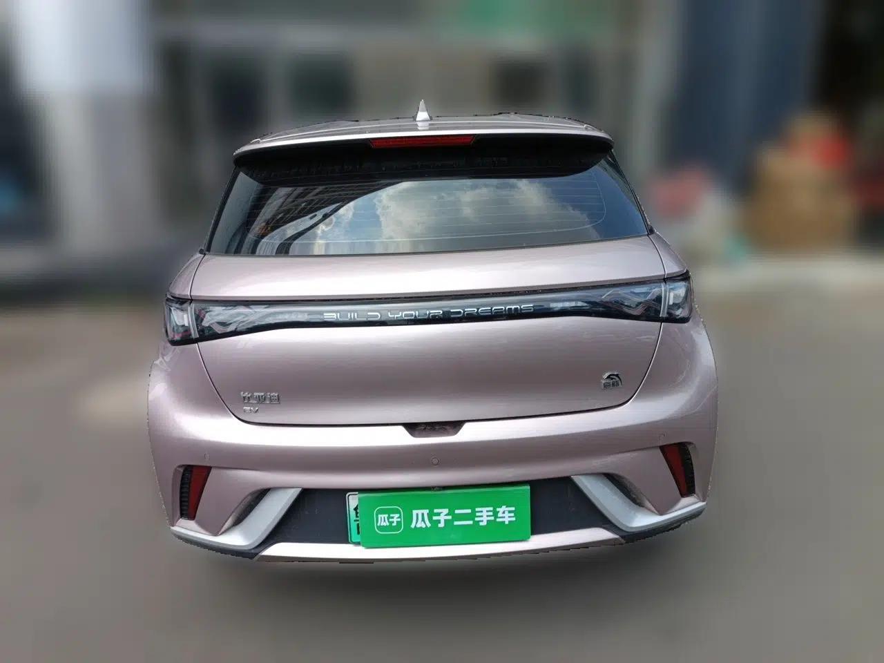 BYD Dolphin 2021 405 km Free Version — миниатюра 3