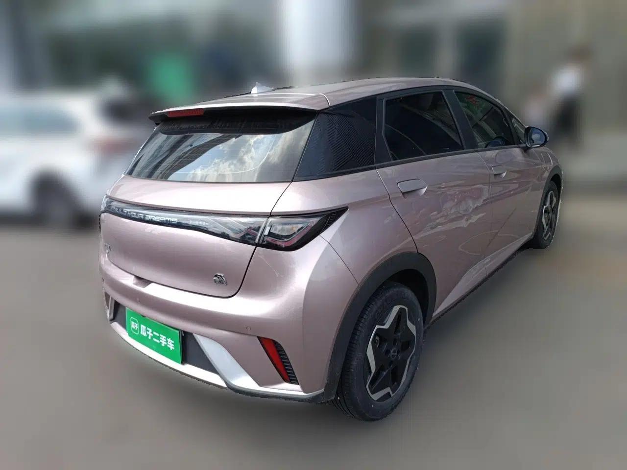 BYD Dolphin 2021 405 km Free Version — миниатюра 4