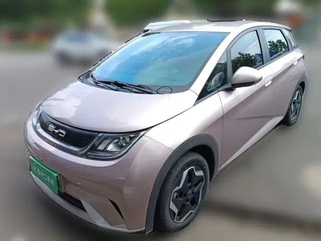 BYD Dolphin 2021 405 km Free Version