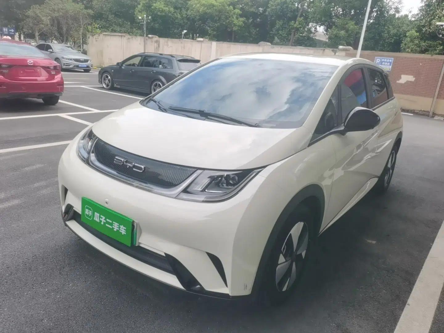 BYD Dolphin 2023 420 km Free Version — миниатюра 1