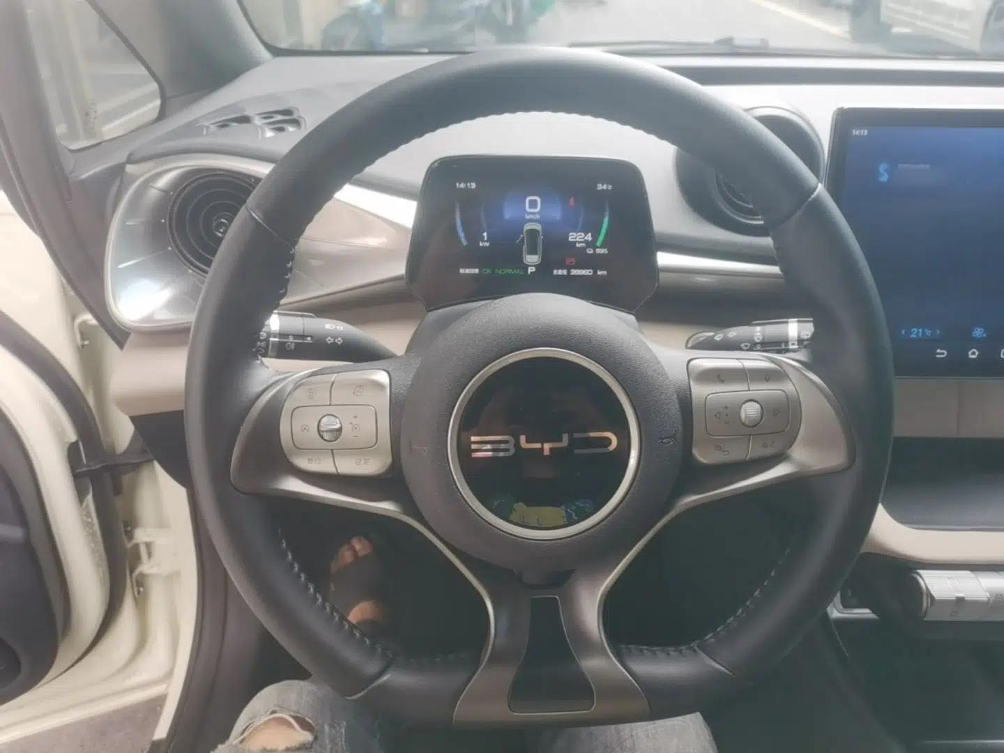 BYD Dolphin 2023 420 km Free Version — миниатюра 13