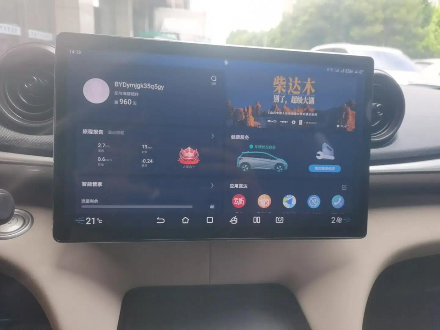 BYD Dolphin 2023 420 km Free Version — миниатюра 15
