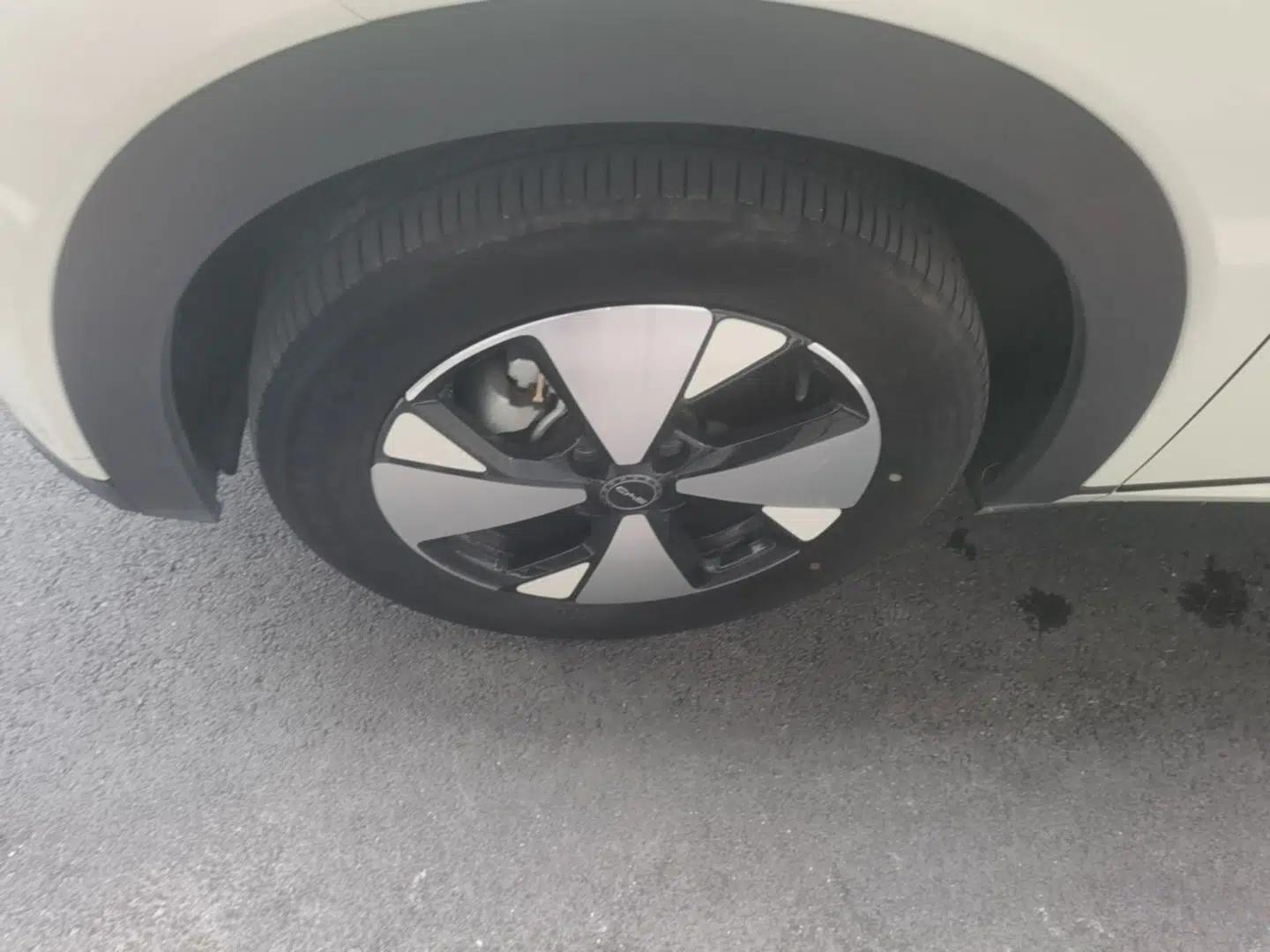 BYD Dolphin 2023 420 km Free Version — миниатюра 10