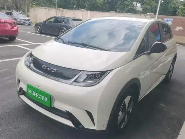 BYD Dolphin 2023 420 km Free Version