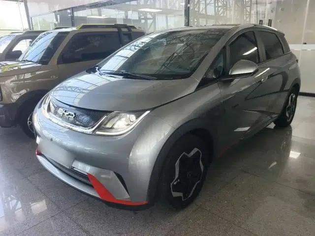 BYD Dolphin 2021 405 km Fashion Edition