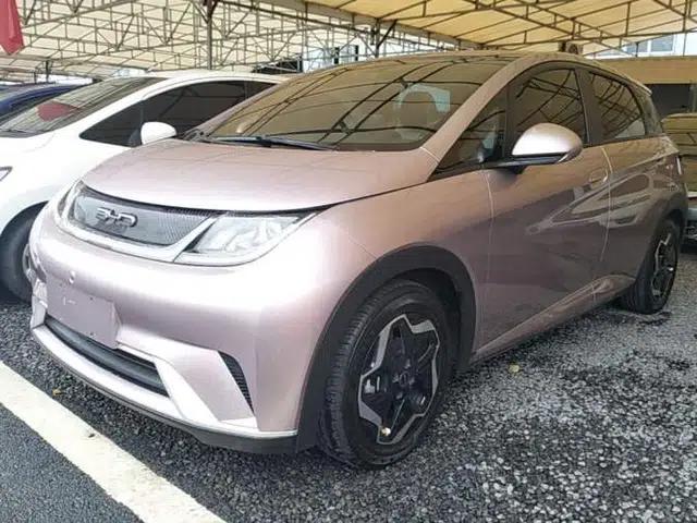 BYD Dolphin 2021 405 km Fashion Edition