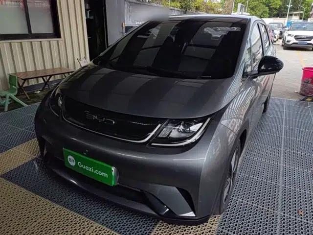 BYD Dolphin 2023 420 km Free Version