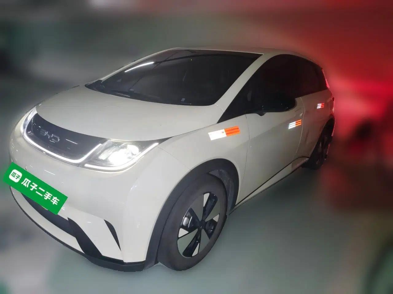 BYD Dolphin 2023 420 km Free Version — миниатюра 1