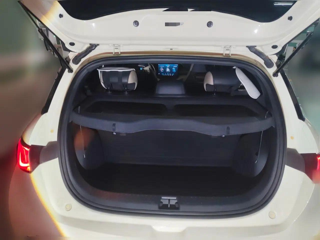 BYD Dolphin 2023 420 km Free Version — миниатюра 15