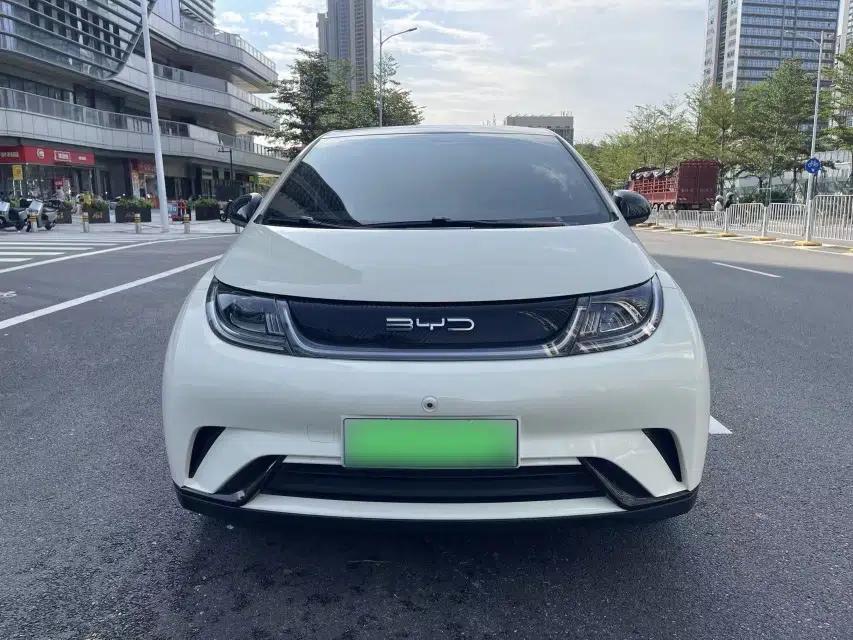 BYD Dolphin 2023 420 km Free Version — миниатюра 3