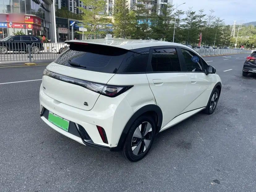 BYD Dolphin 2023 420 km Free Version — миниатюра 7