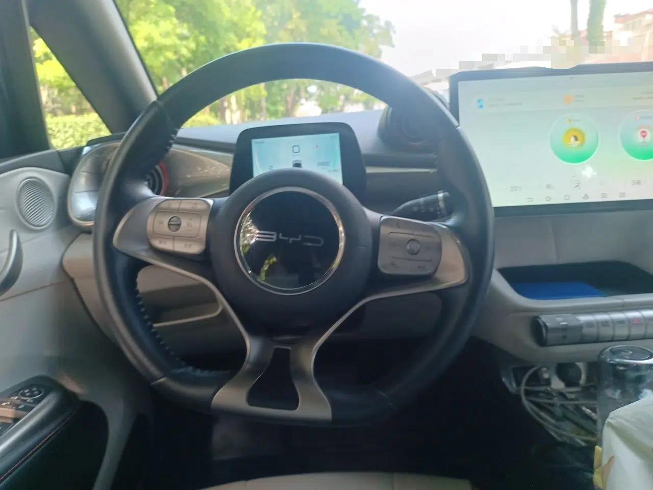 BYD Dolphin 2021 405 km Fashion Edition — миниатюра 7