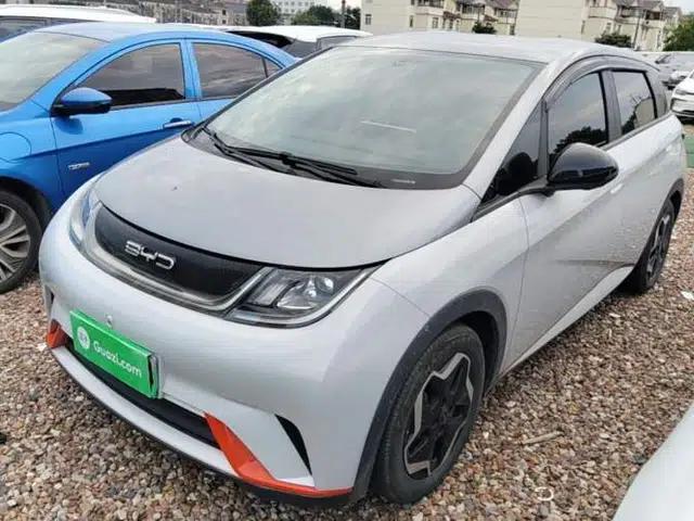BYD Dolphin 2021 405 km Free Version