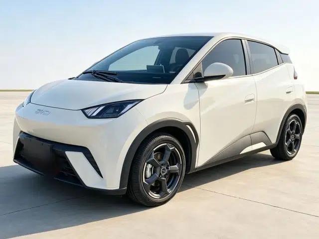 BYD Seagull 2024 Honor Edition 305km Freedom Version