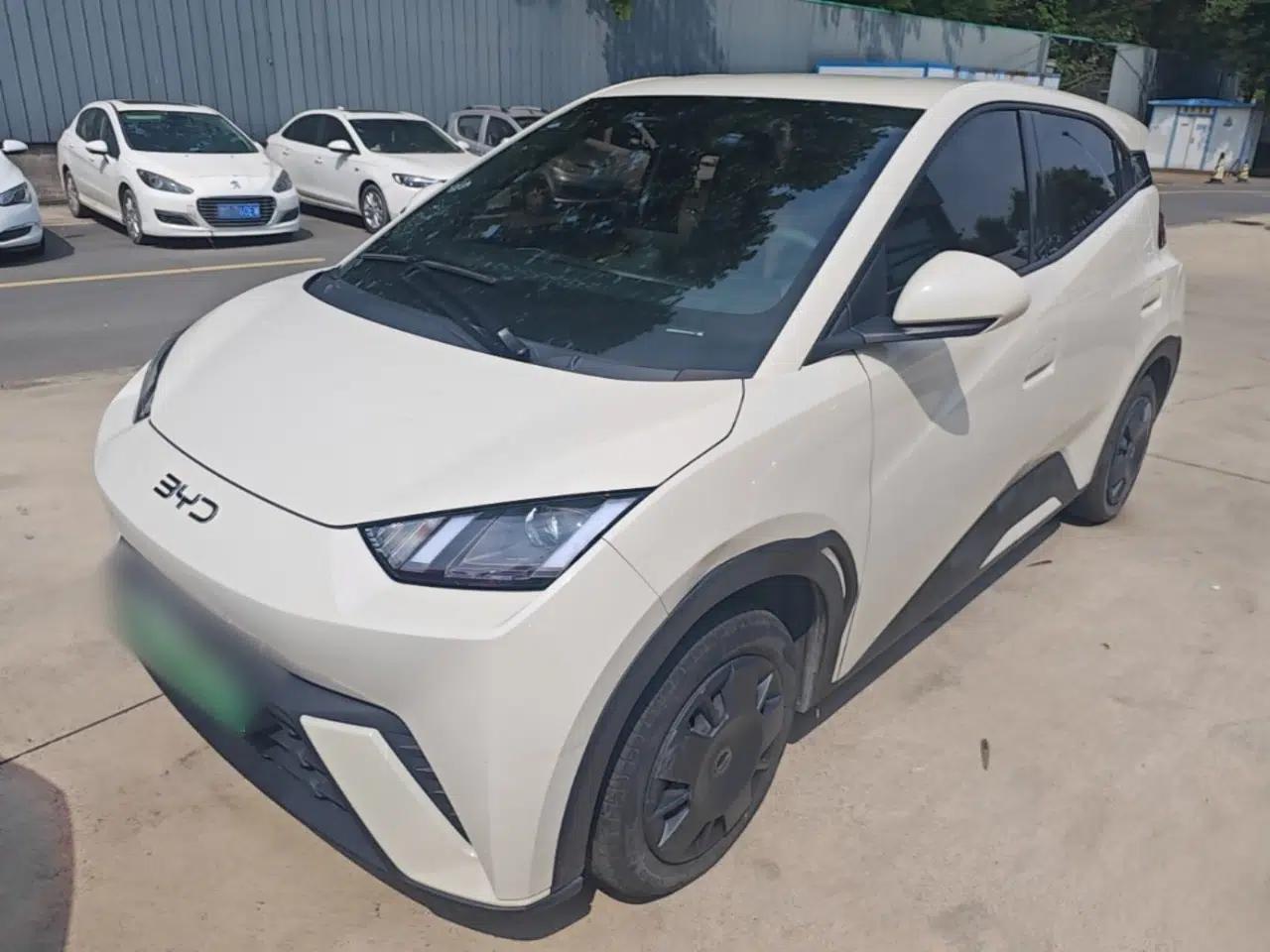 BYD Seagull 2024 Honor Edition 305km Dynamic Version — миниатюра 1