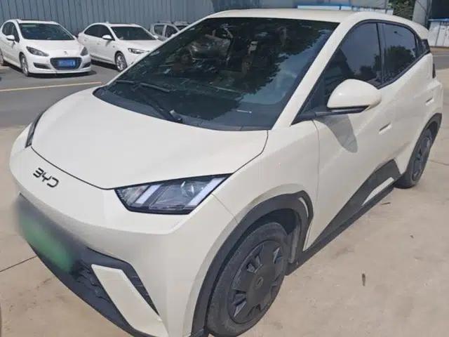 BYD Seagull 2024 Honor Edition 305km Dynamic Version