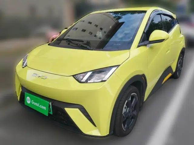 BYD Seagull 2024 Honor Edition 305km Freedom Version