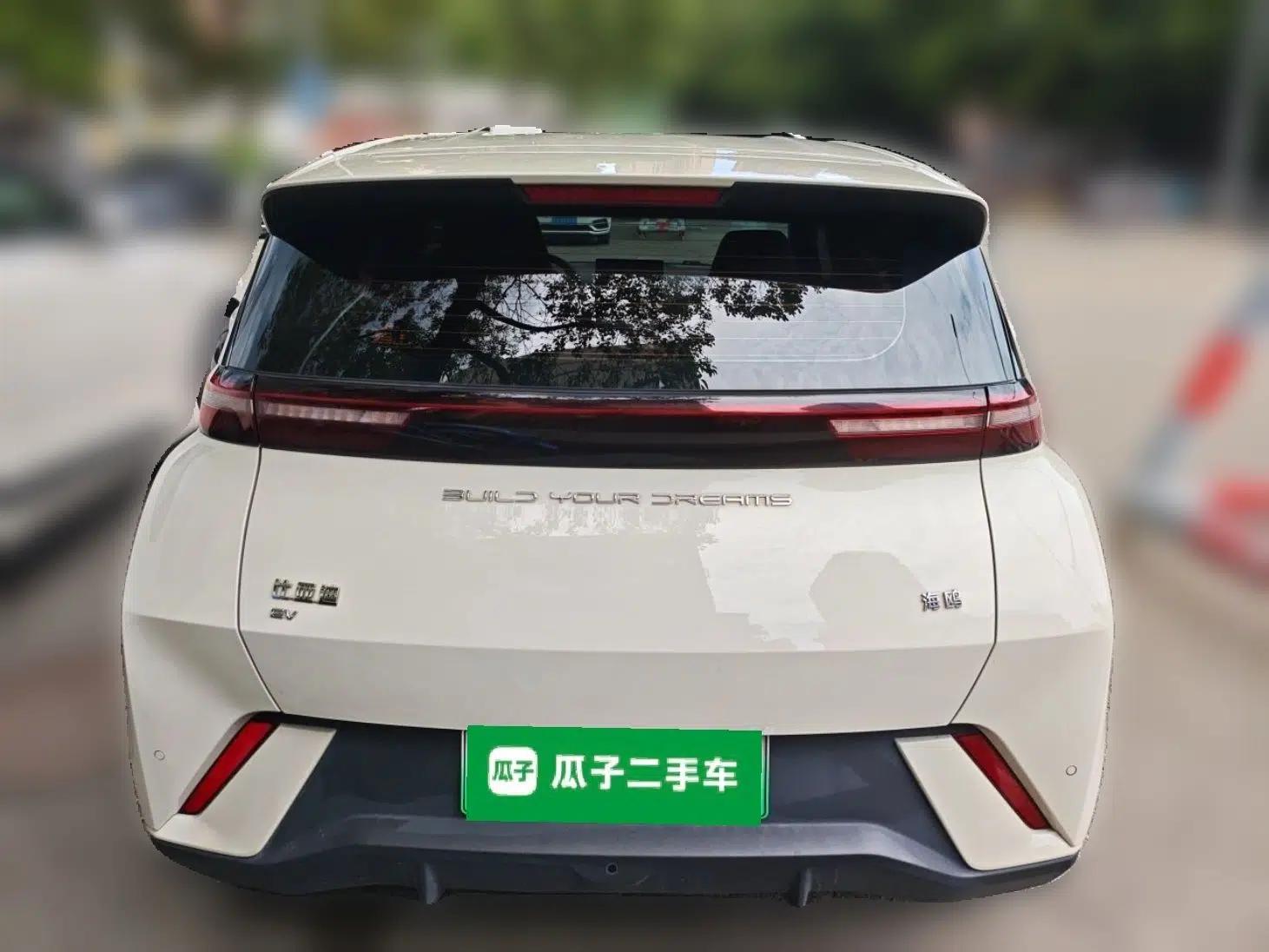 BYD Seagull 2024 Honor Edition 305km Freedom Version — миниатюра 5
