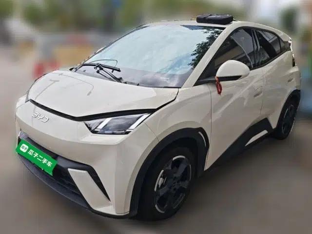 BYD Seagull 2024 Honor Edition 305km Freedom Version