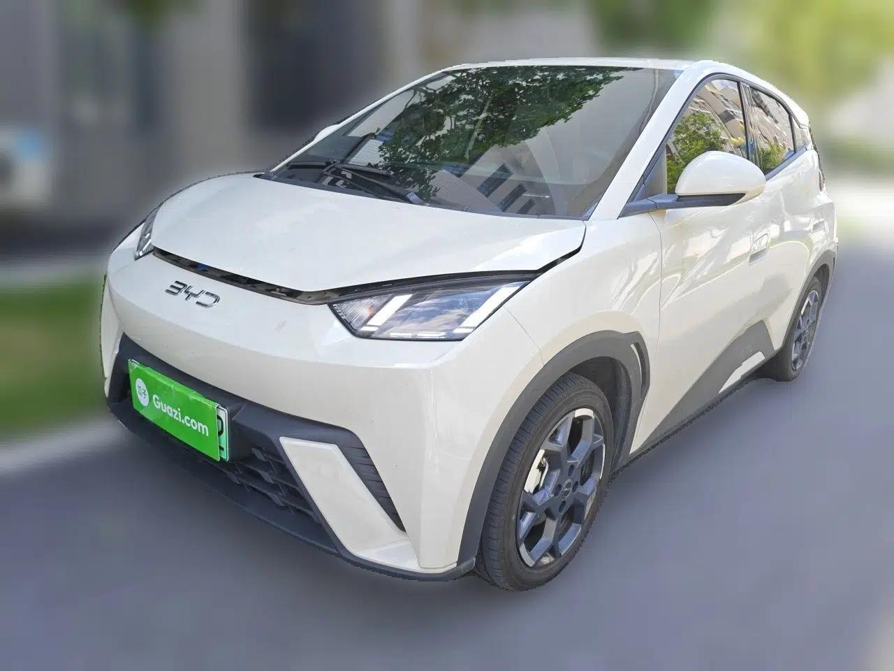 BYD Seagull 2025 405 km Flying Edition — миниатюра 1