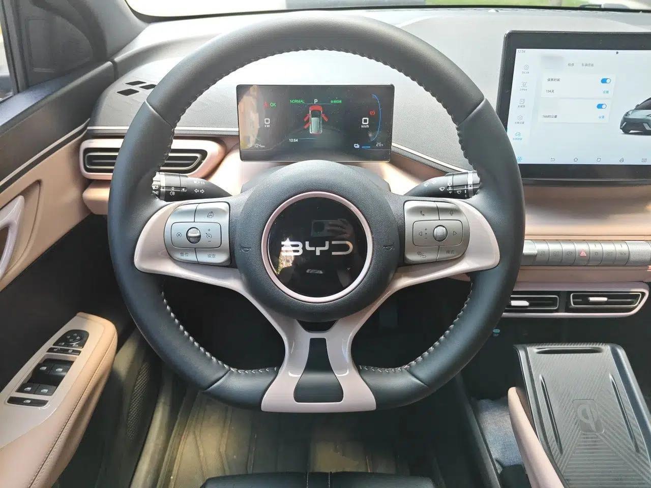 BYD Seagull 2025 405 km Flying Edition — миниатюра 7