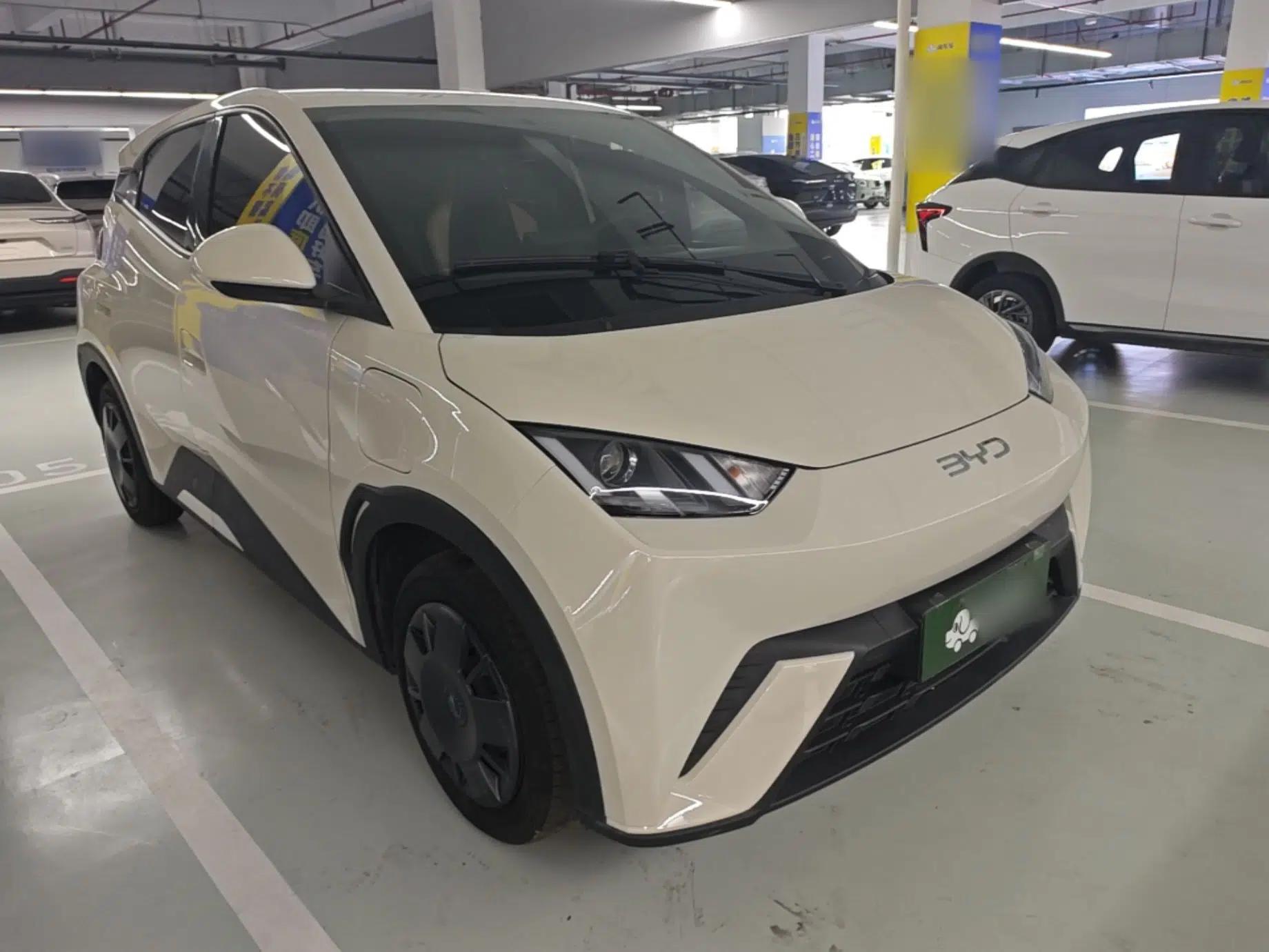 BYD Seagull 2024 Honor Edition 305km Dynamic Version — миниатюра 3