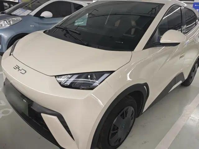 BYD Seagull 2024 Honor Edition 305km Dynamic Version