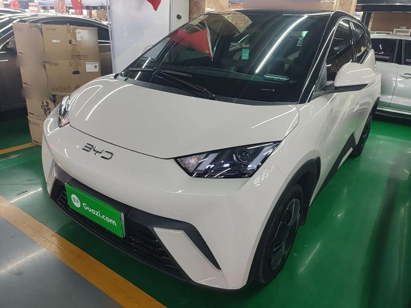 BYD Seagull 2025 305km Active Version — миниатюра 1