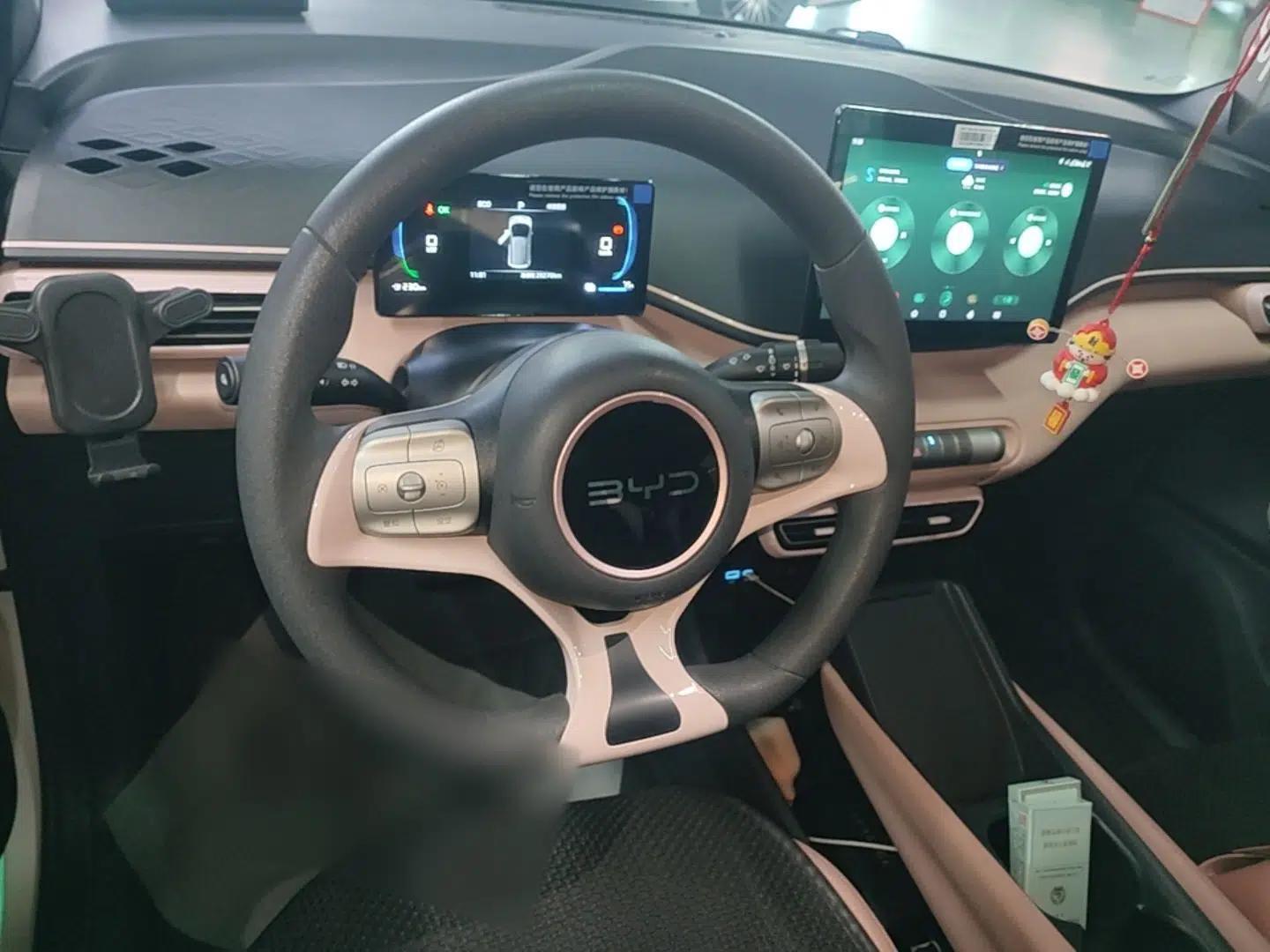 BYD Seagull 2025 305km Active Version — миниатюра 13