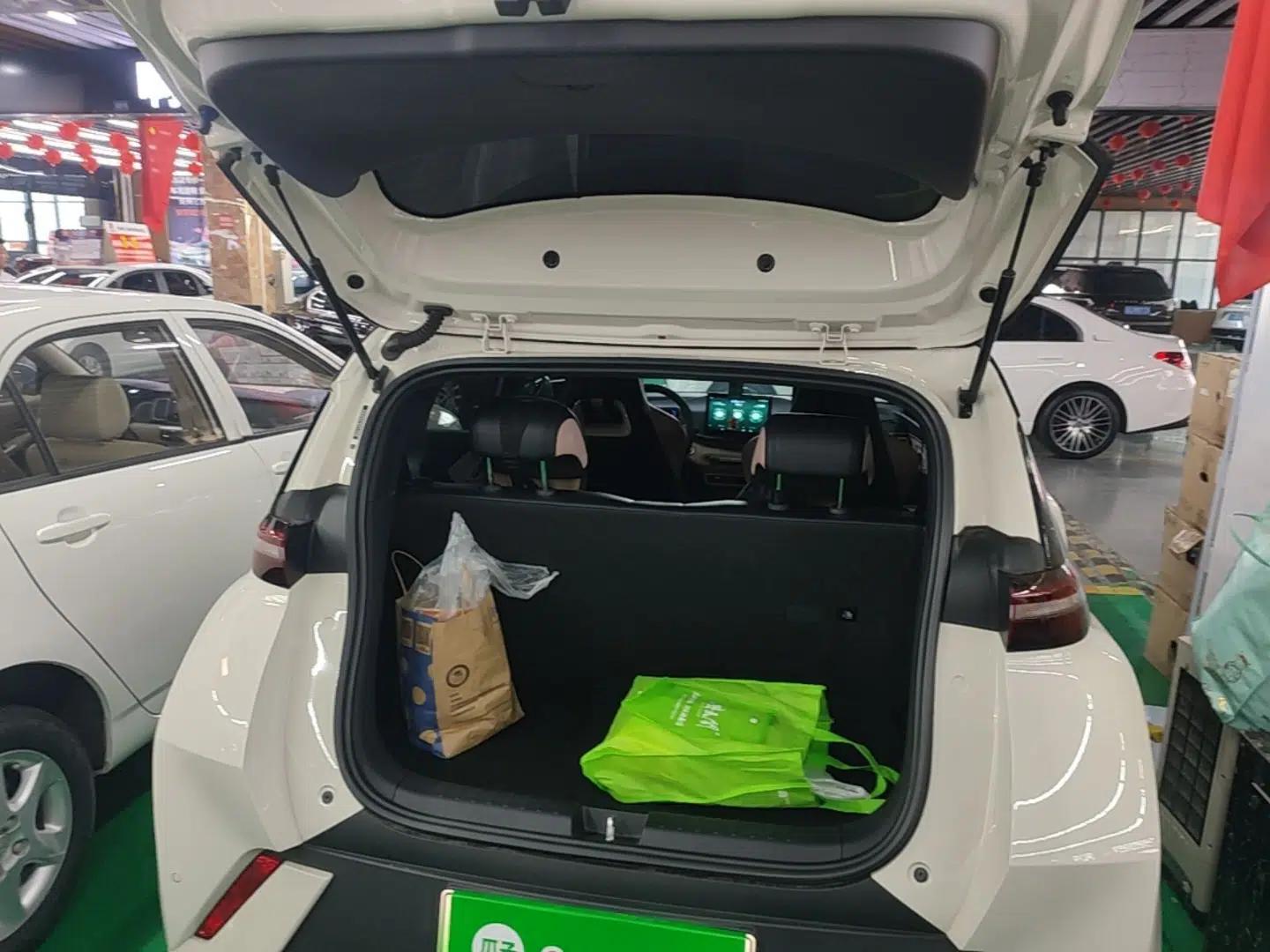 BYD Seagull 2025 305km Active Version — миниатюра 22