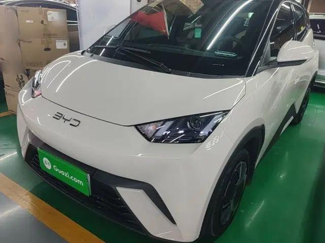 BYD Seagull 2025 305km Active Version