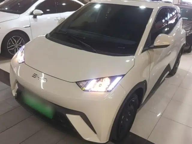 BYD Seagull 2024 Honor Edition 305km Dynamic Version